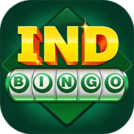 Image for IND BINGO
