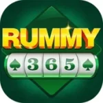 Rummy 365 APK Download